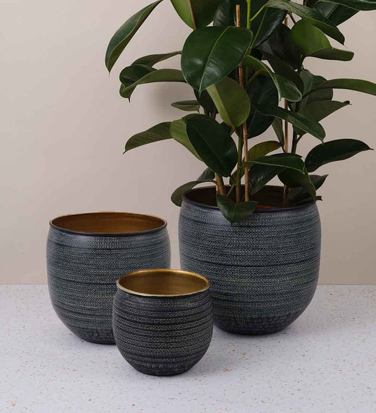 Nkuku Tembesi Etched Planter