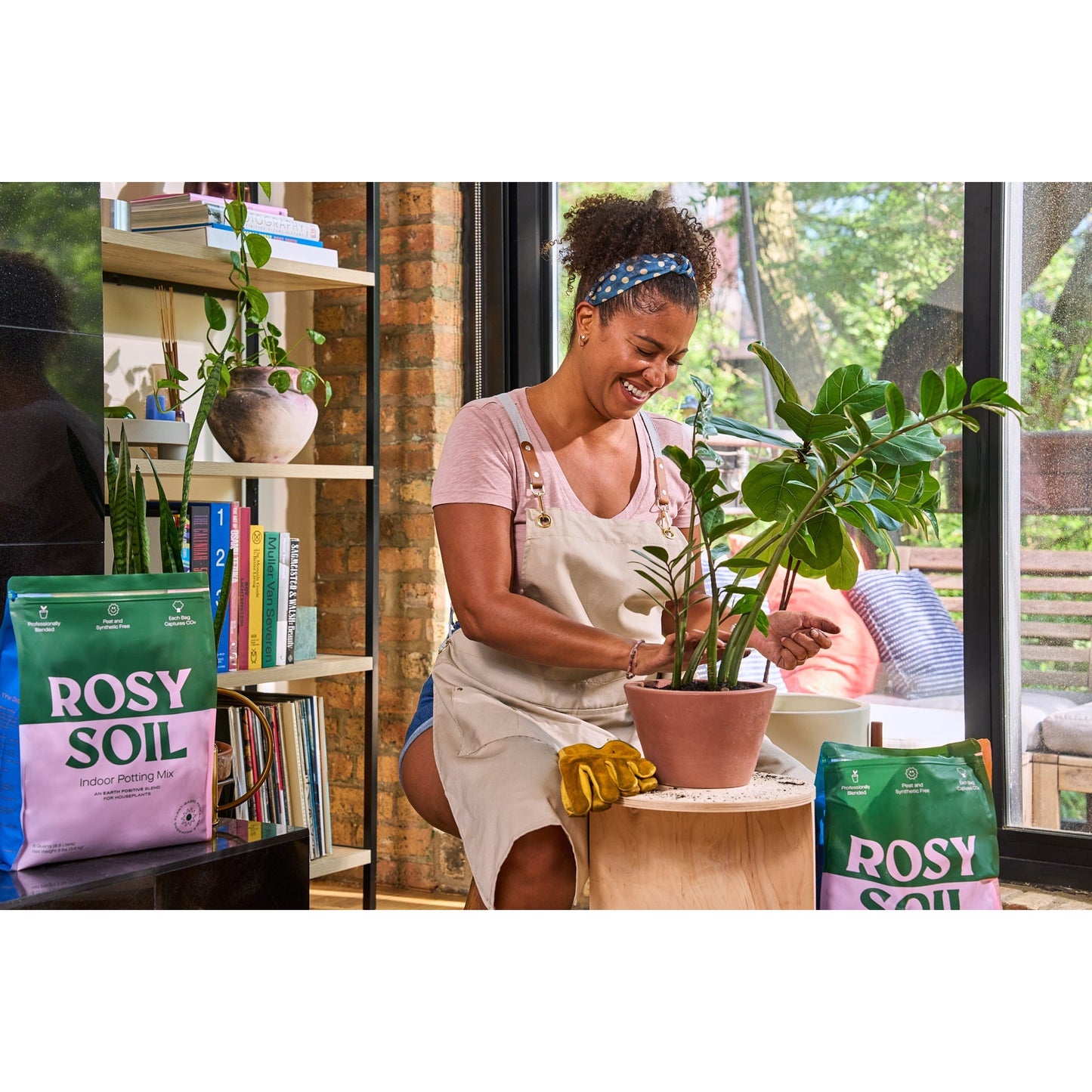 Rosy Indoor Potting Soil